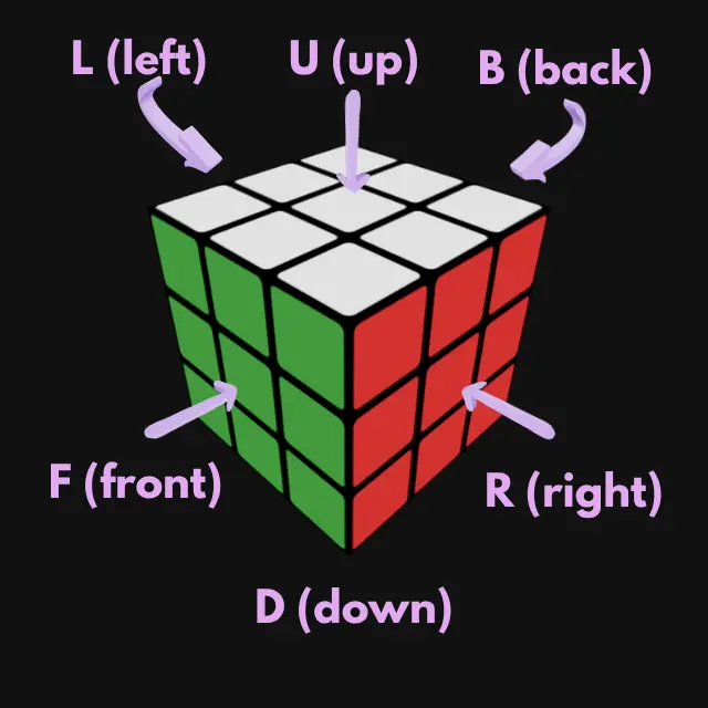 A Rubik's Cube with each face labeled: R, L, U, D, F, B
